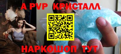 спиды Новозыбков