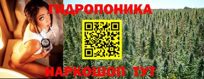 2c-b Обнинск